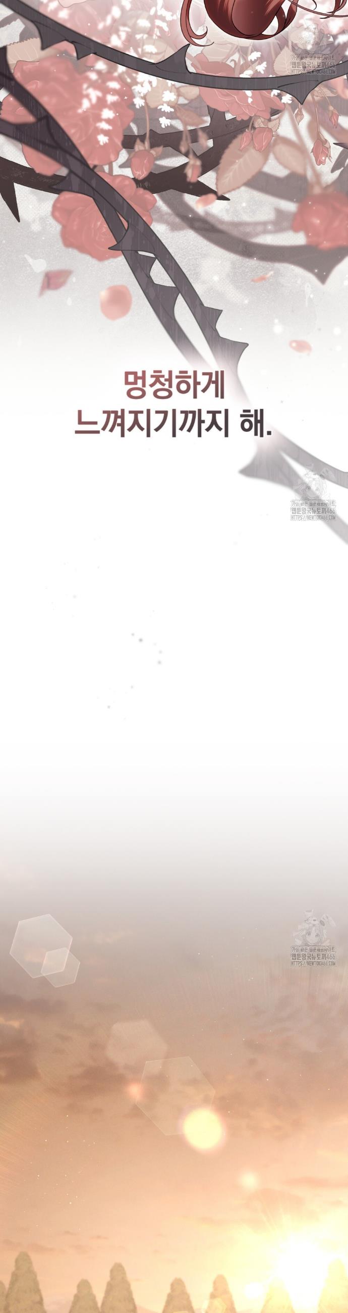 1734197471183d8tzov42pr.jpg
