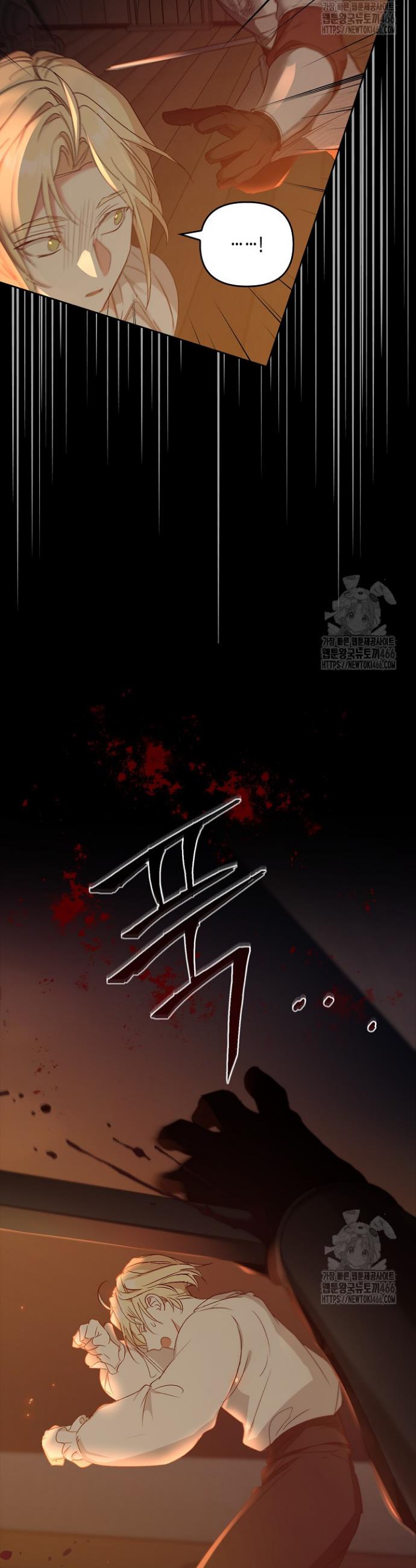 1734276947992tfdat3kp2m.jpg