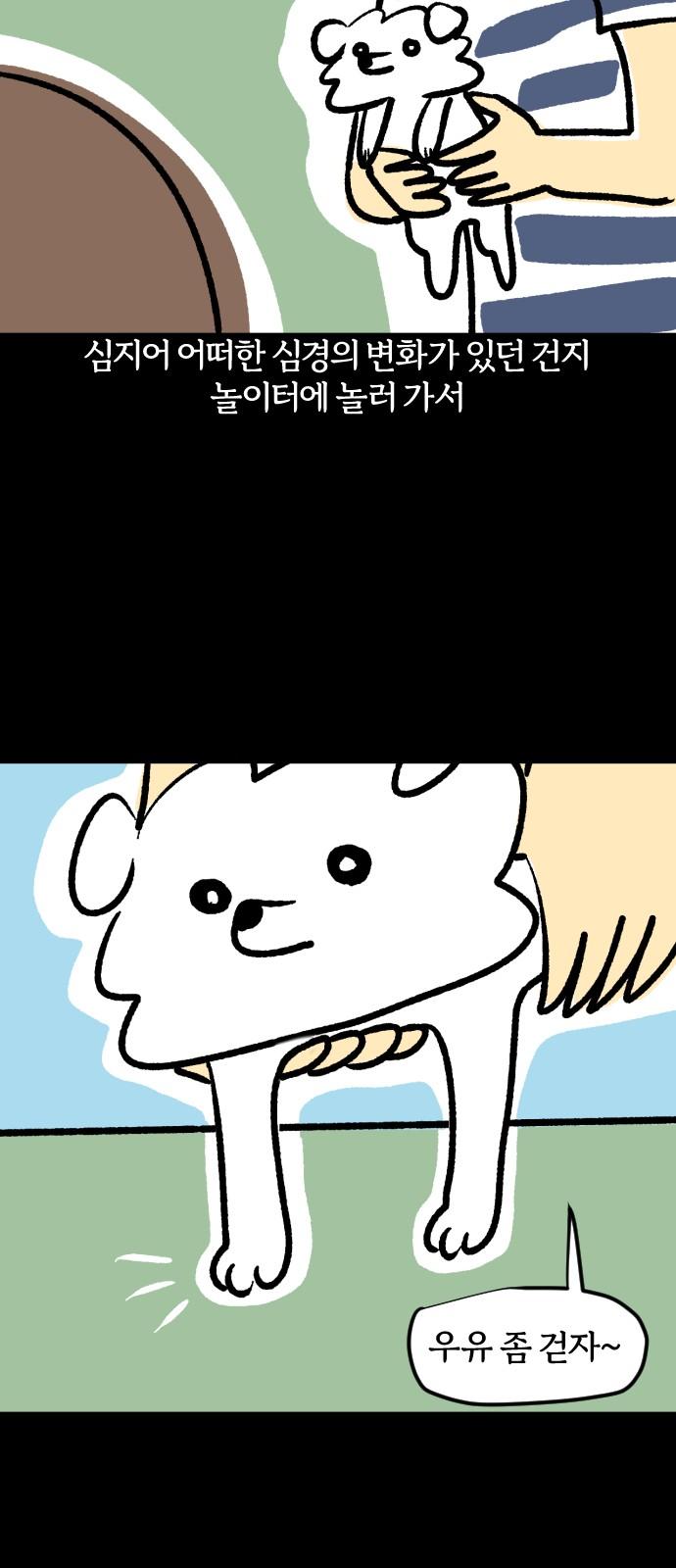 1734647259531owktjeod0bs.jpg