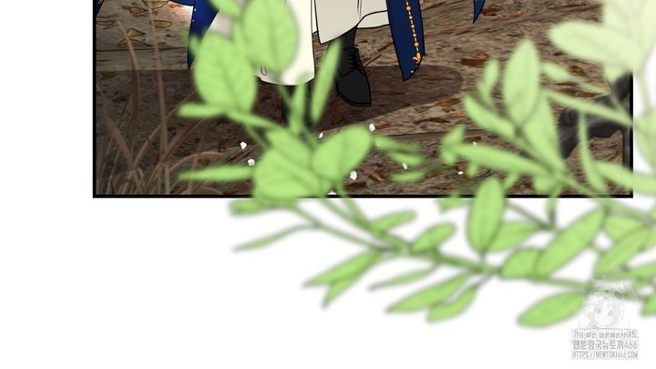 1734648706322o4dgsus05ng.jpg