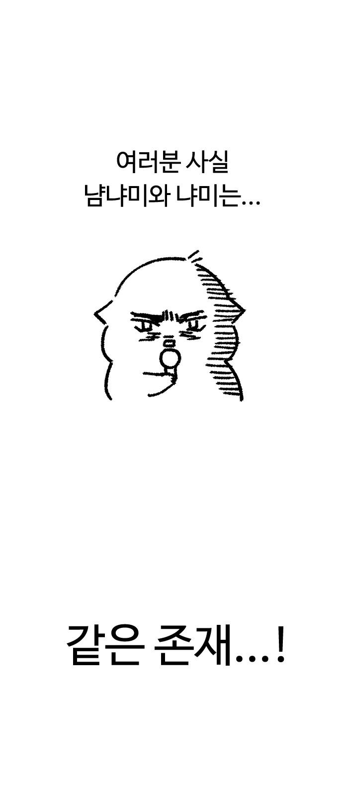 1734827484760dlzmfdgvtxn.jpg
