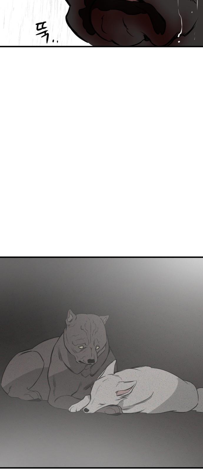 173490250162187xtywlnyt6.jpg