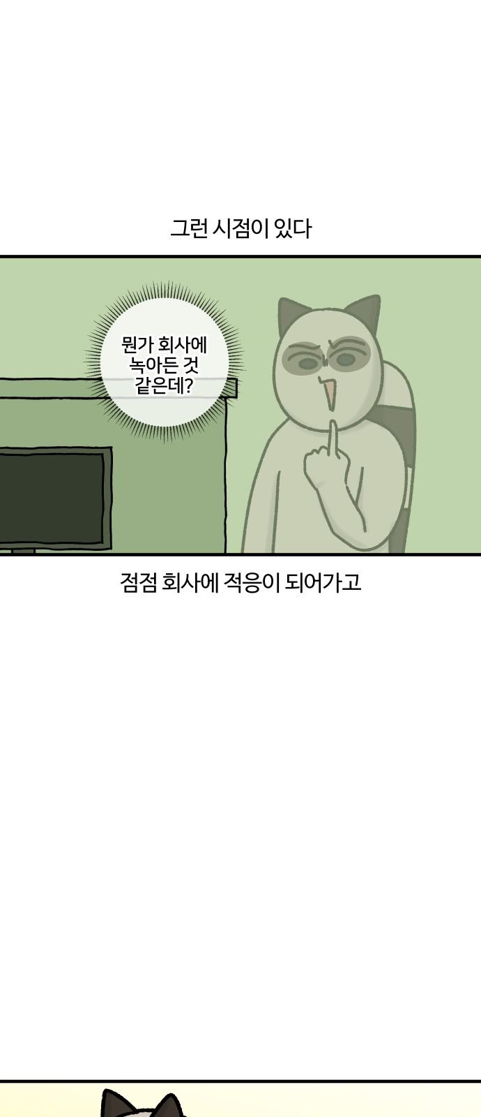 17349039414455hywbsqshu9.jpg