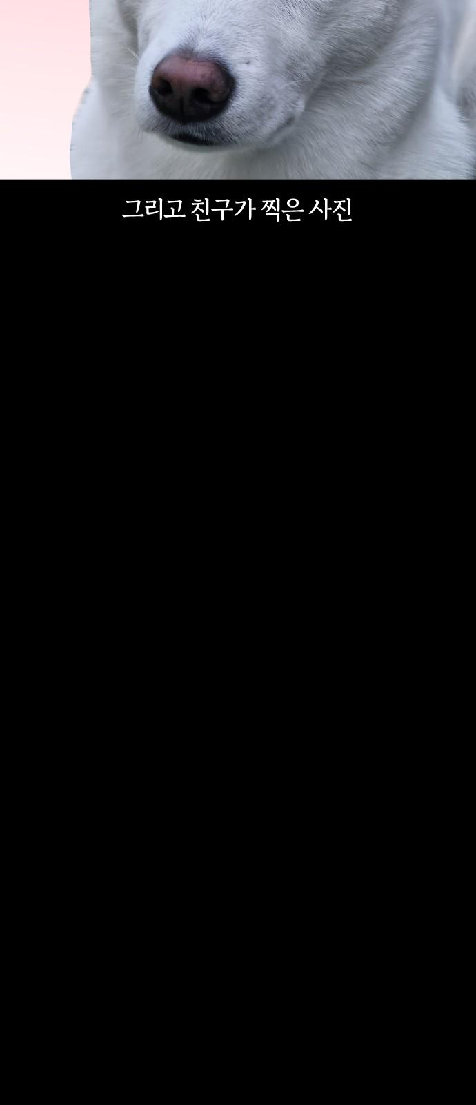 1734998009224g11j5udpbg.jpg