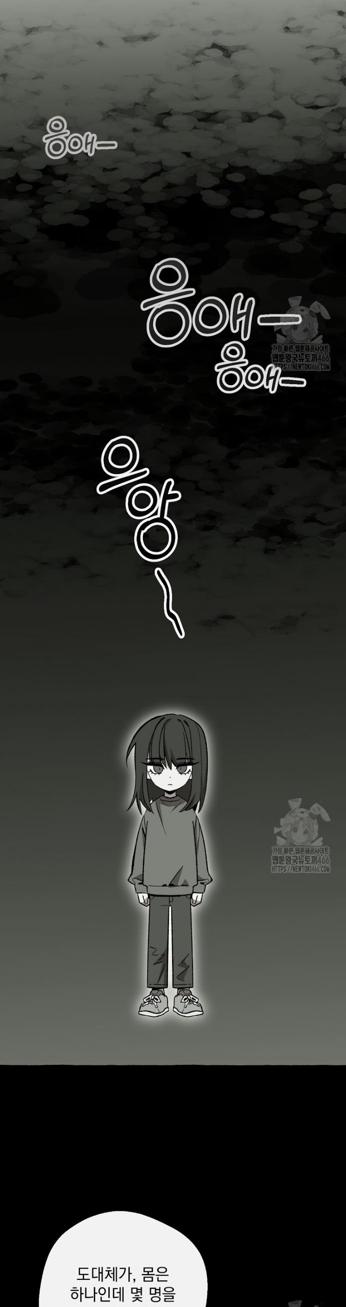 1735076519731syhfzgsyji.jpg