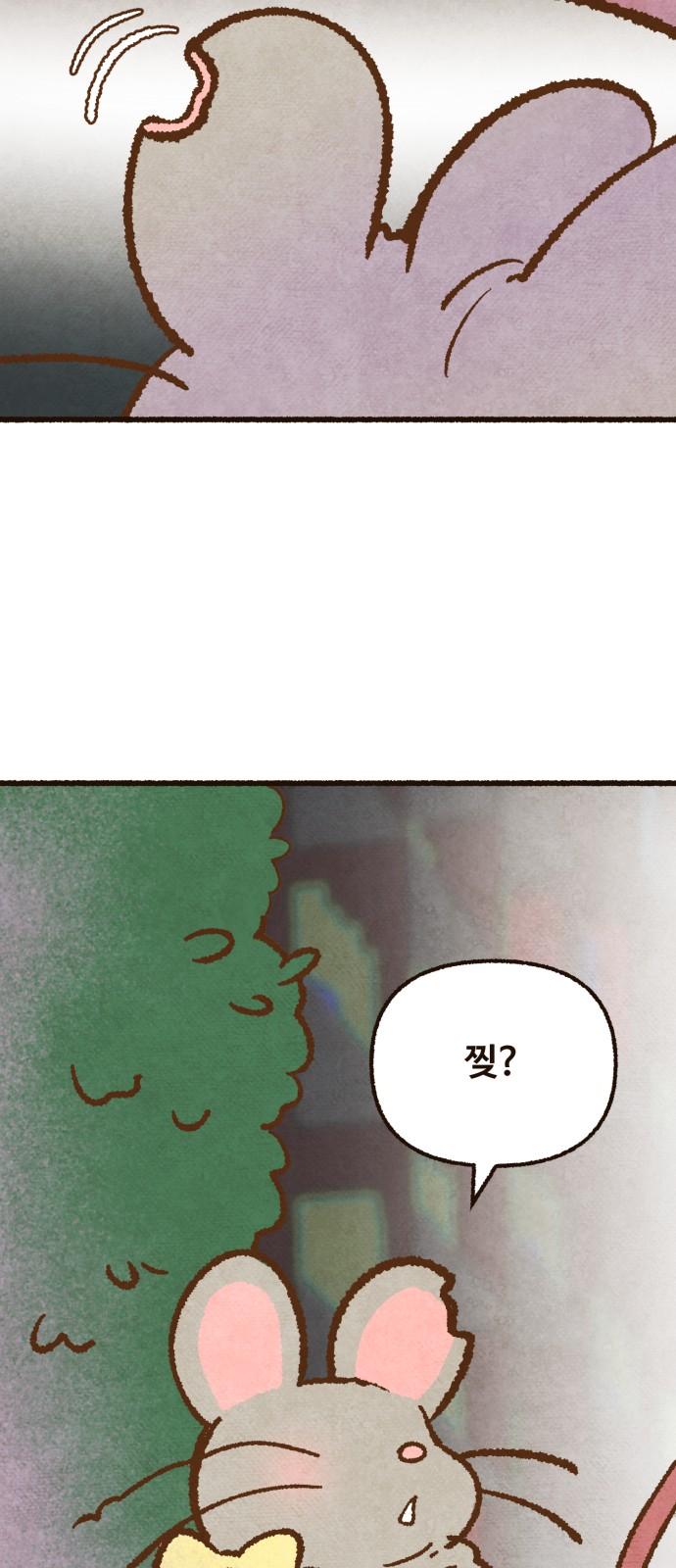 1735074787845bmo8ntpxy5s.jpg