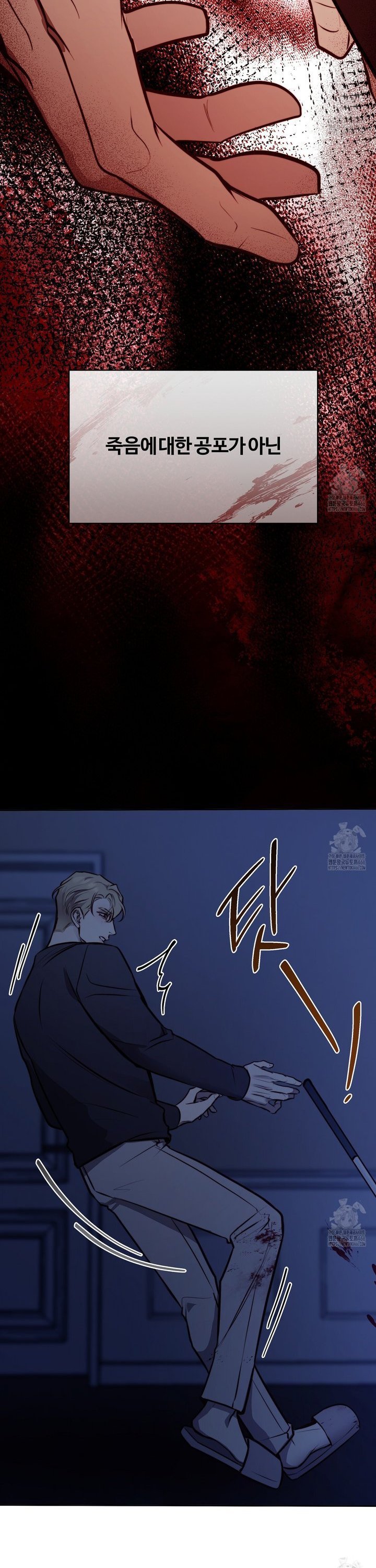 1735077472442owtnqhsuwn.jpg