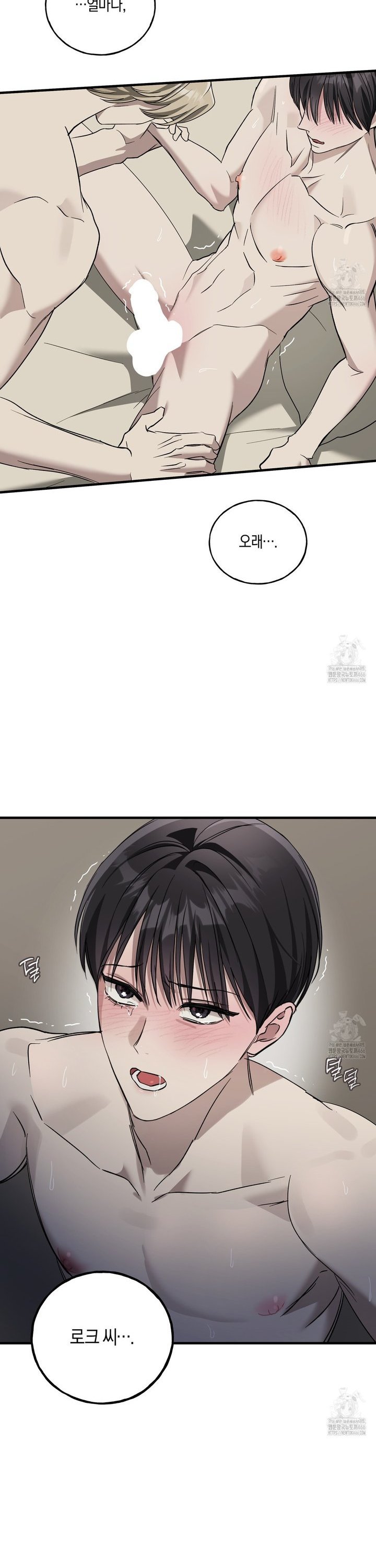 17351637302706b2uwatu5bu.jpg