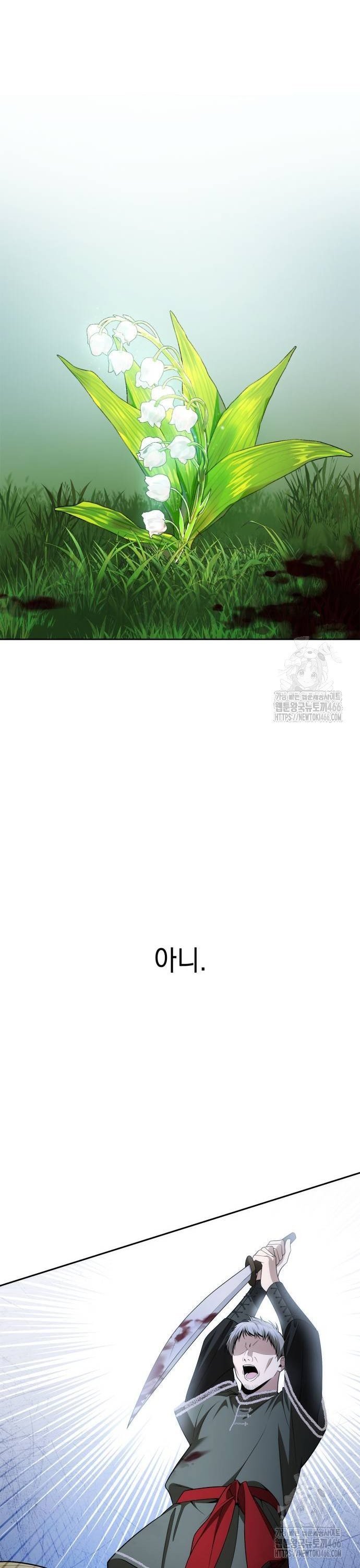 1735350495372no5bvn4ajcb.jpg