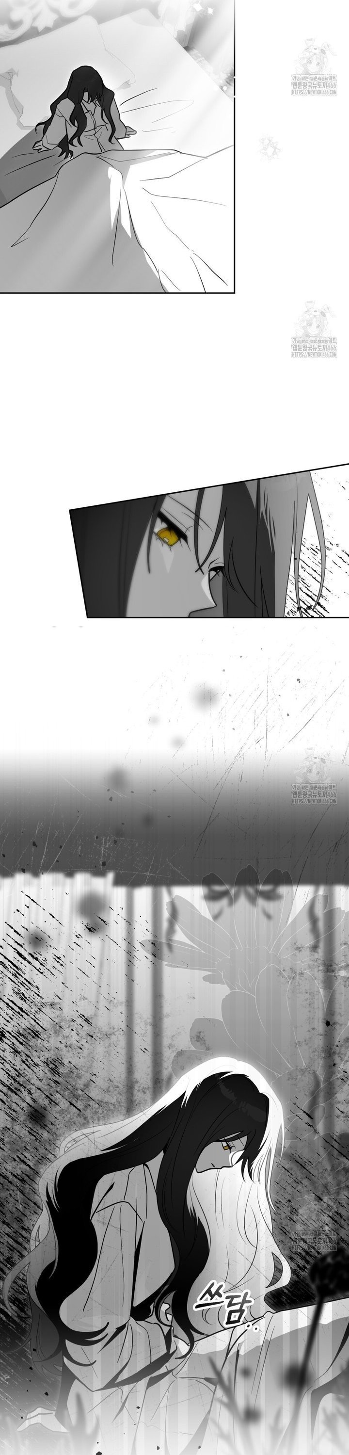 1735350569558m1vis9kjljk.jpg