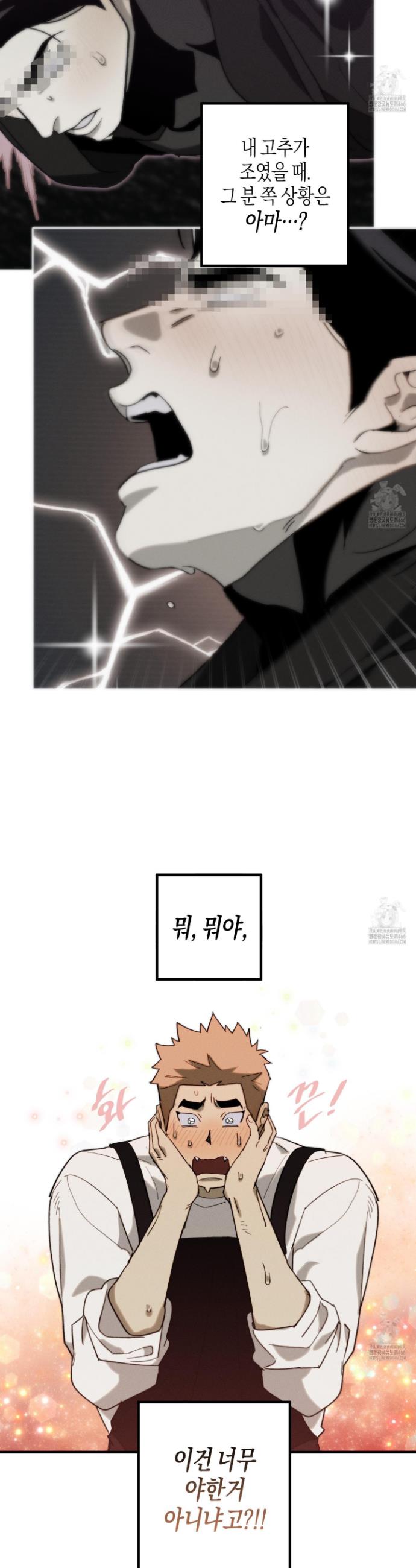 17354245537813kpohzkdfhf.jpg