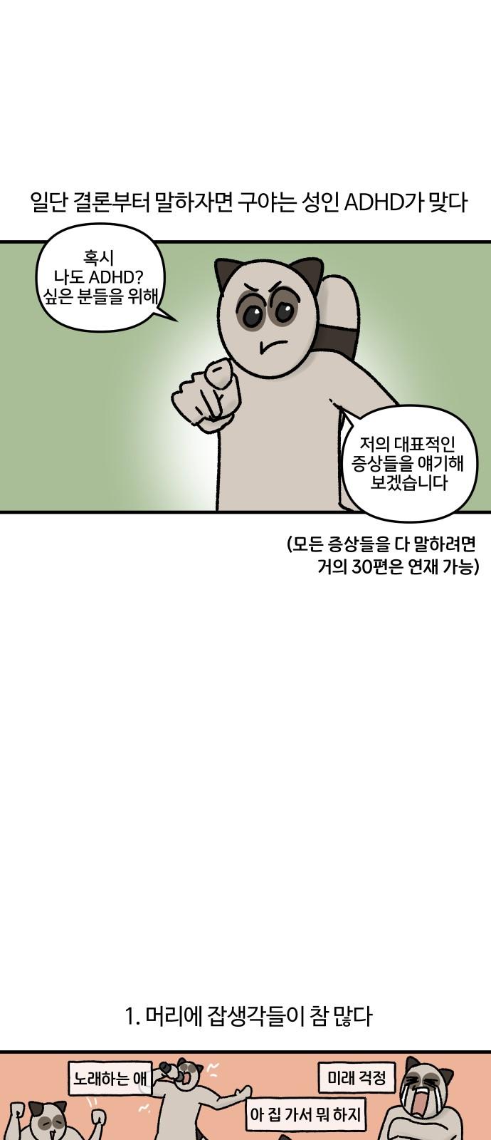 1736495623214xscvp9phh8h.jpg