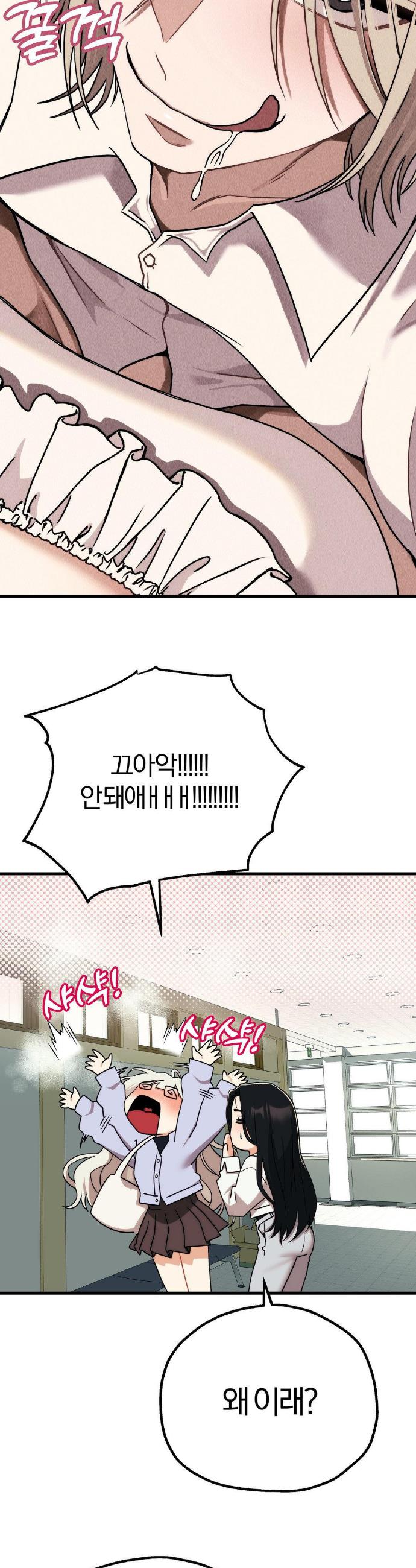 173671558385050tmoml28op.jpg