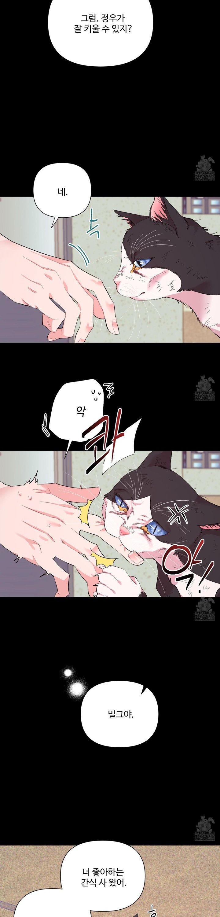 1736802927851gyeqppiykdu.jpg