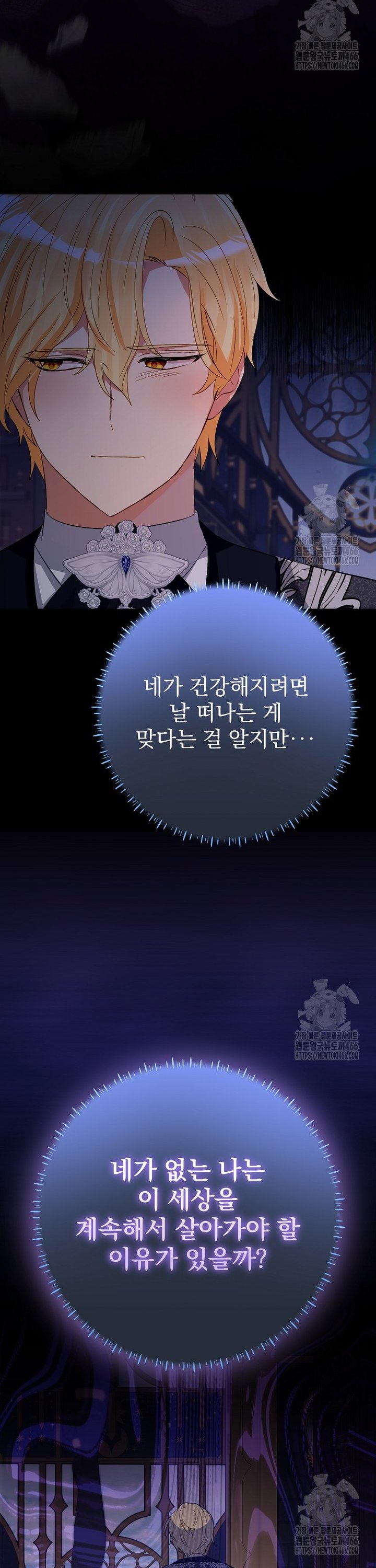 1736897307495v1tj06wfzw.jpg