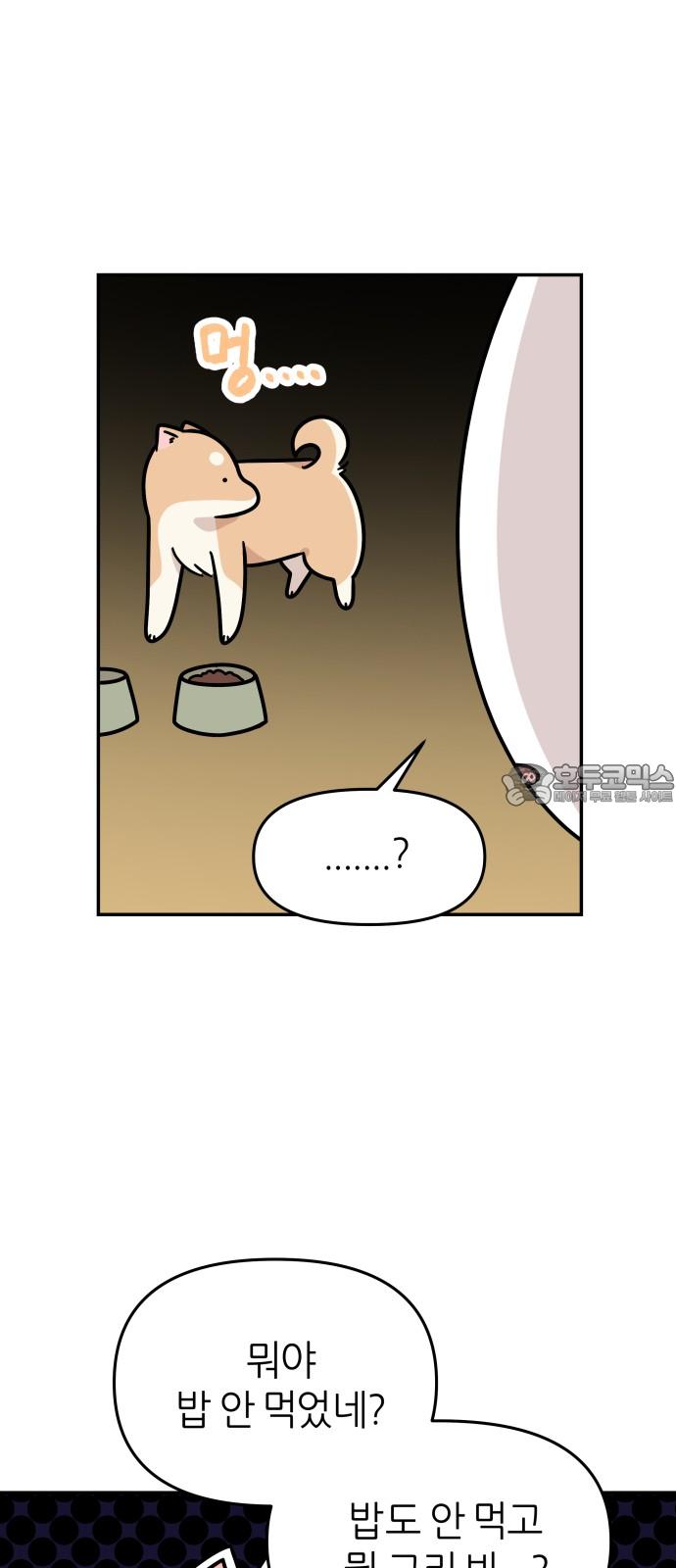 17368974877853g7e1vbgopj.jpg