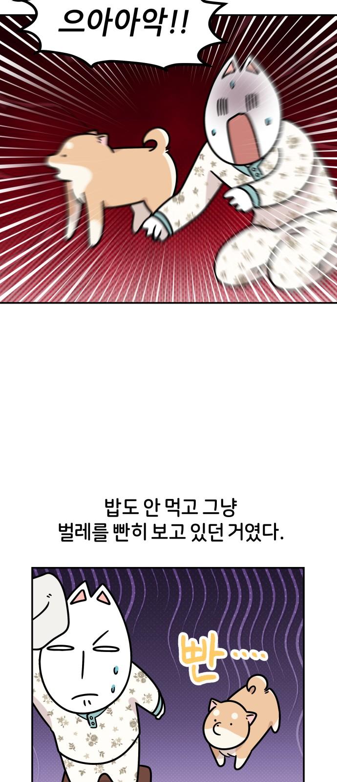 17368974884010by0nbs290i.jpg