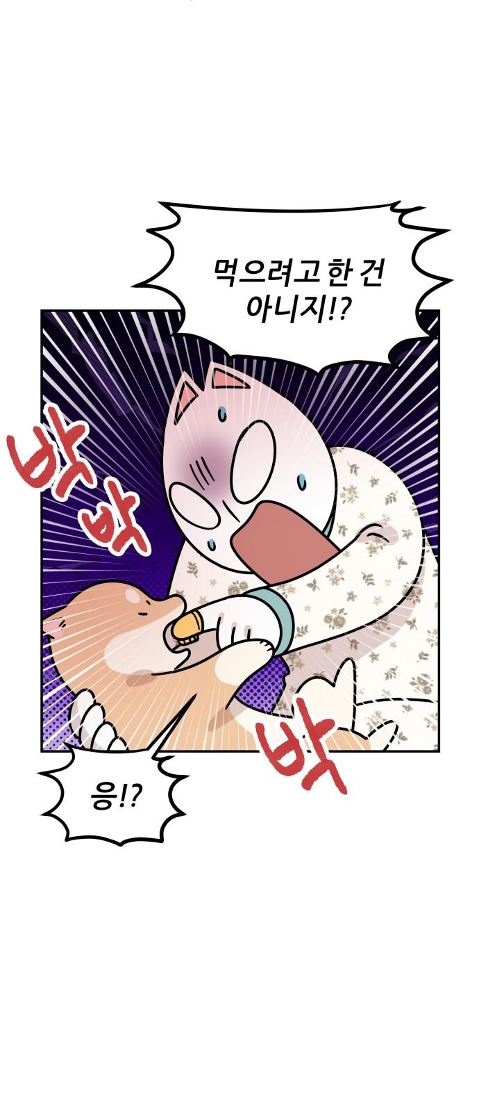 1736897493880rkyaikn78t.jpg