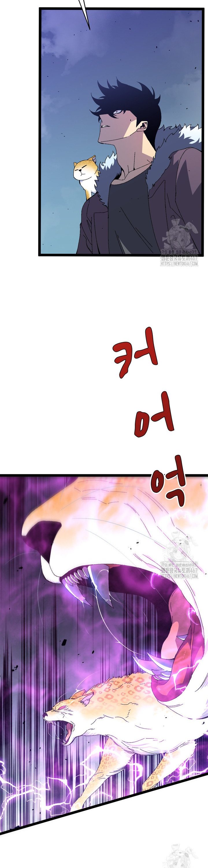 1737100858354ilcxcmncwr.jpg