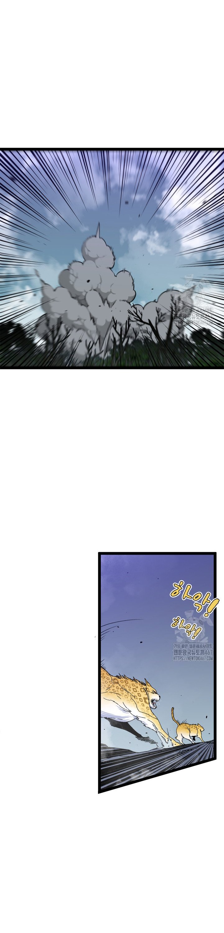 1737100860692fvzzcmngfsk.jpg