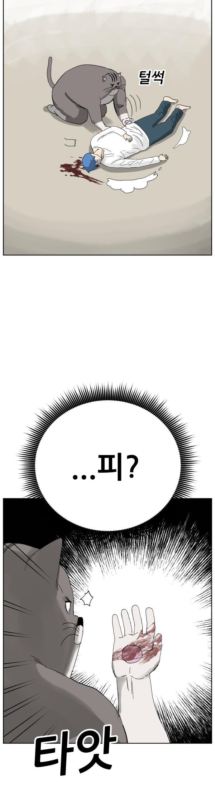 1737151170657xs9xxdfvbt.jpg