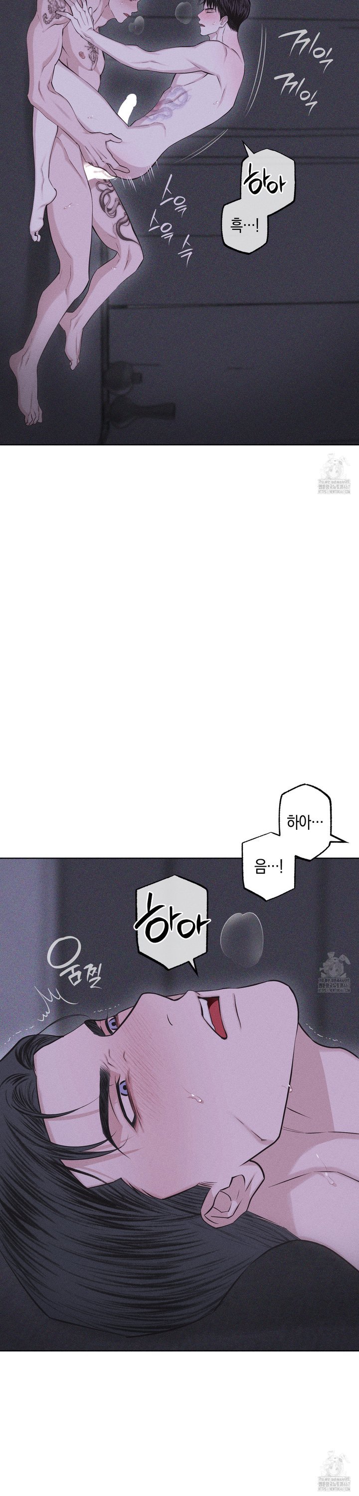 1737499925039ze5ioll6cj.jpg