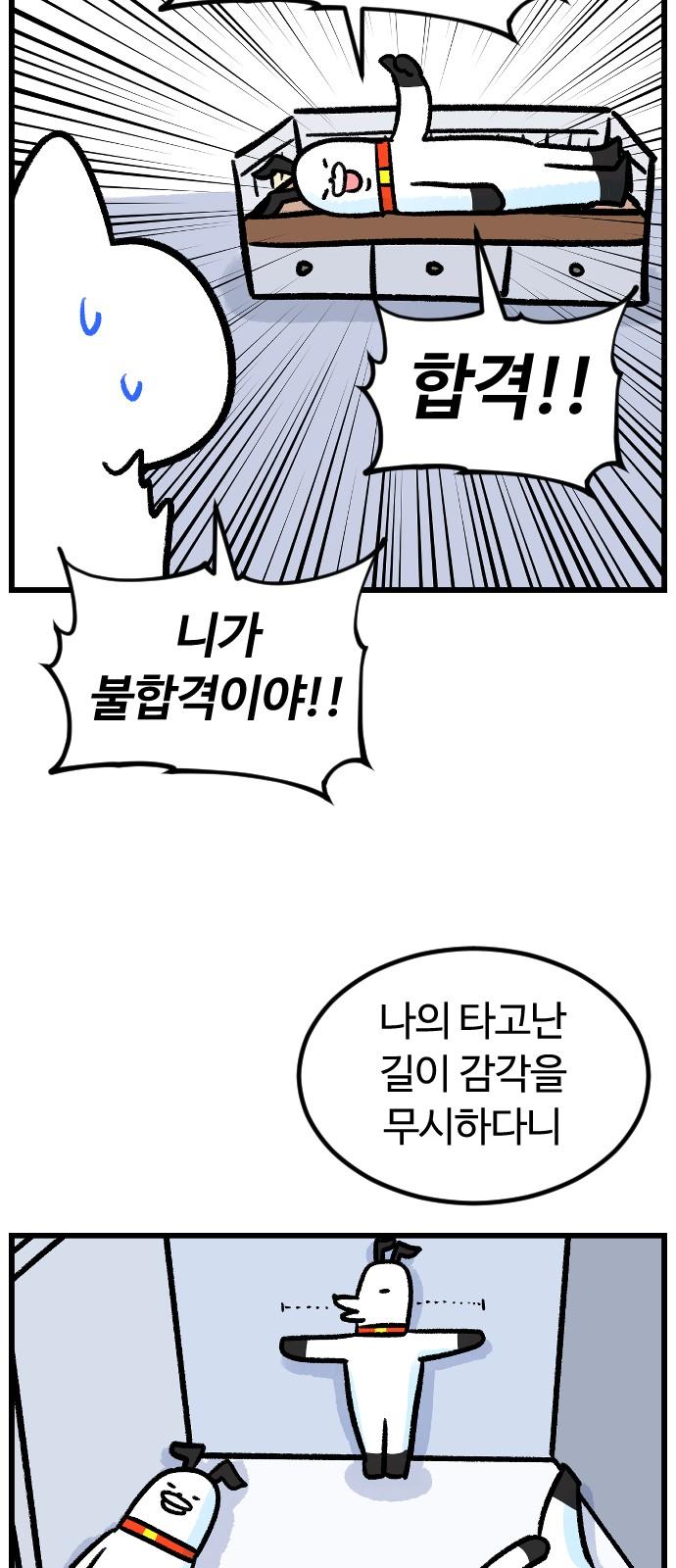 17374993179043gpx1ponuk.jpg