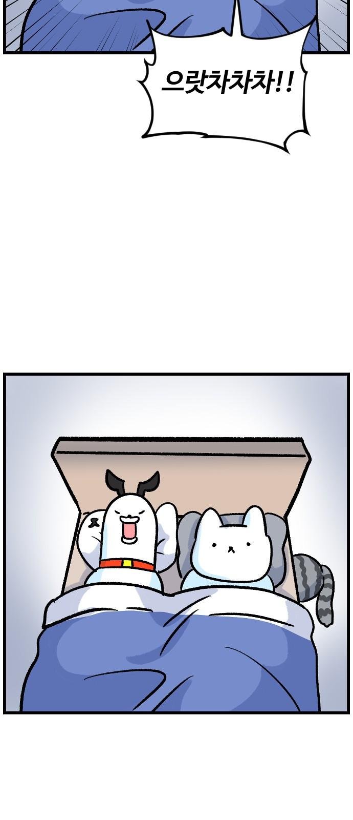1737499320057ovv9tqajsvs.jpg