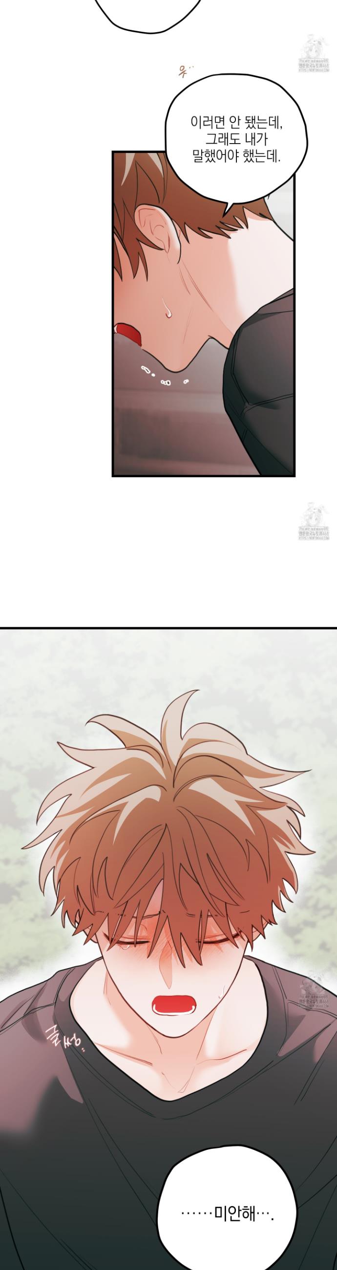 1737773106887taokgvbpven.jpg