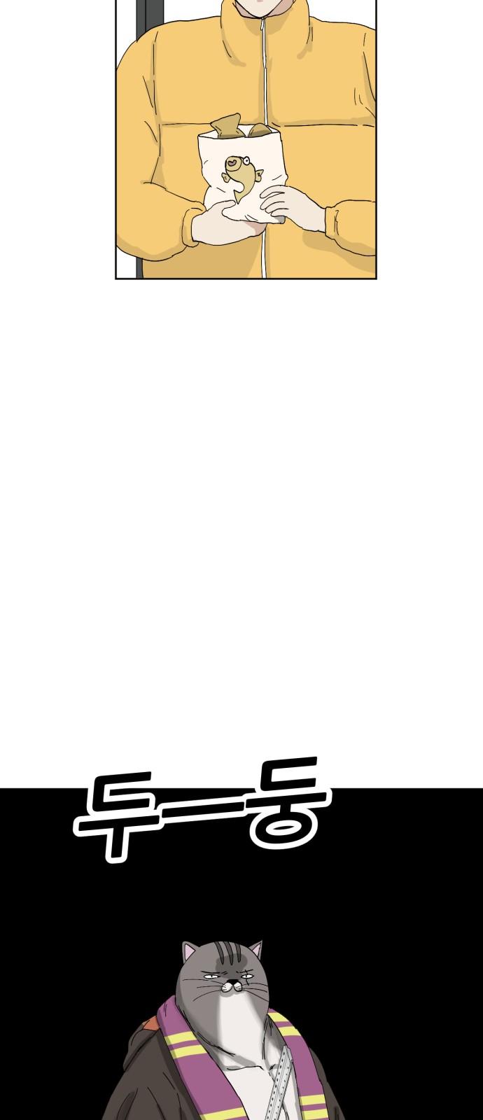 17377723004638v5nzzqtmtb.jpg