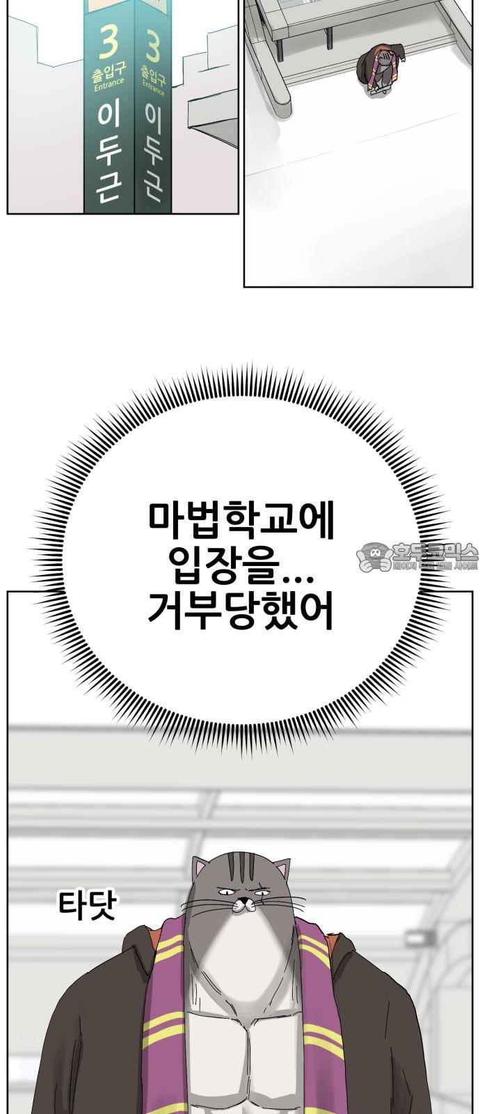 1737772306351qmzdreq9cd.jpg