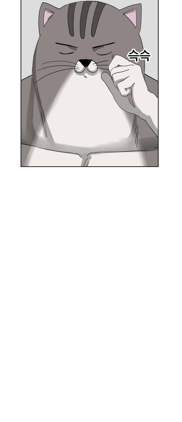 1737772307903obpxsl5rzkh.jpg