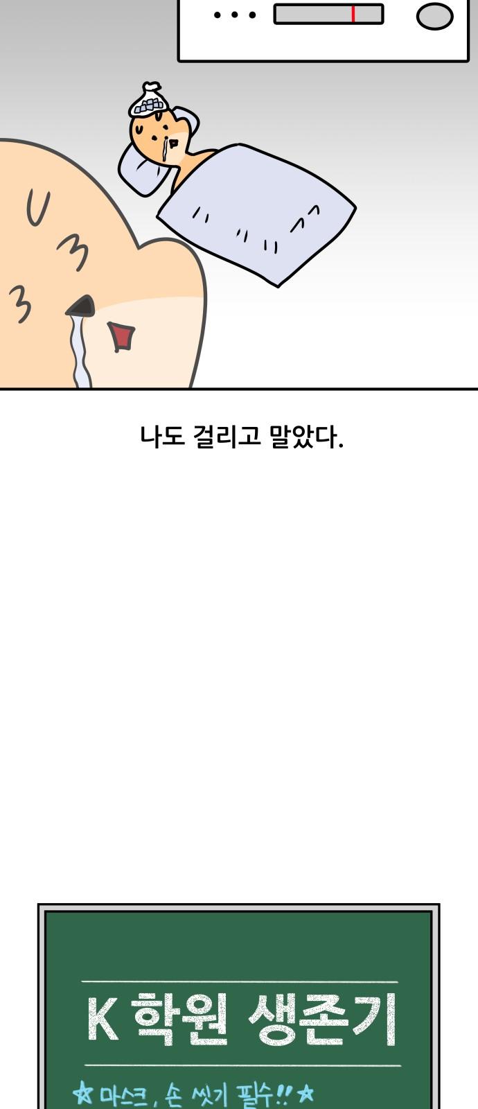 1737733791943nsi7m2ydoxa.jpg