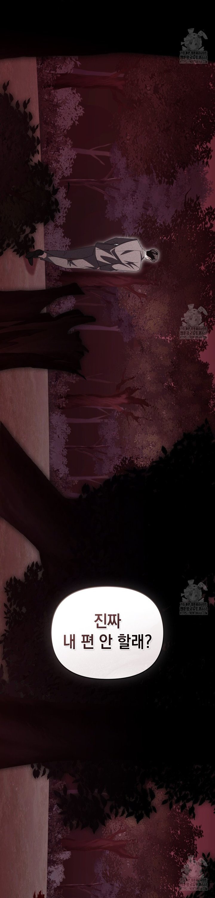1738215375454y5kwilu4x1n.jpg