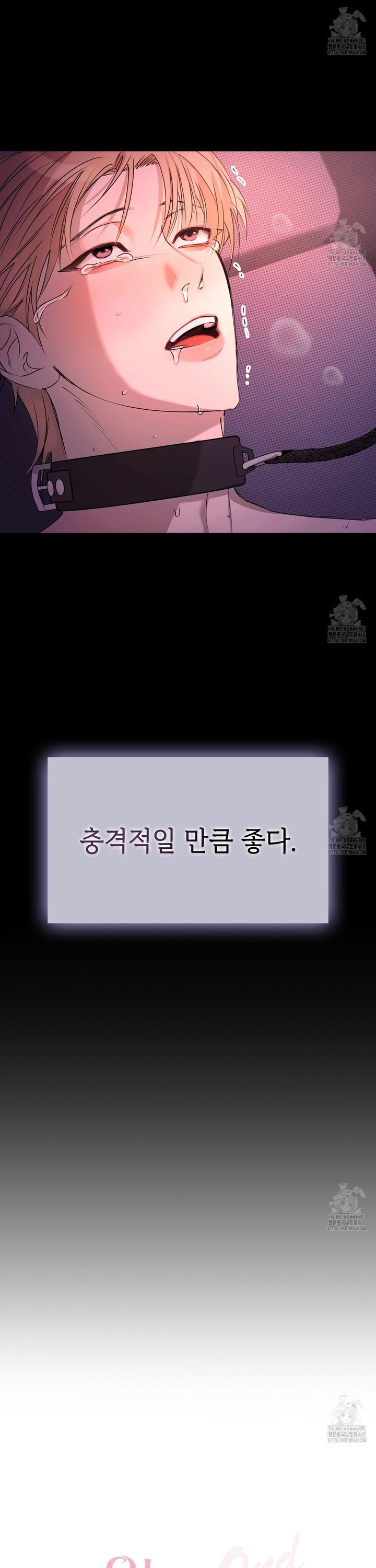 1738215686667swq2auz3yro.jpg