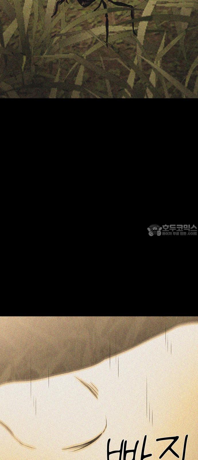 1736042425609owgpdcx39ds.jpg