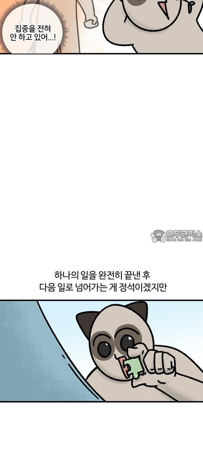 1736112219252fssxn1tn4uc.jpg