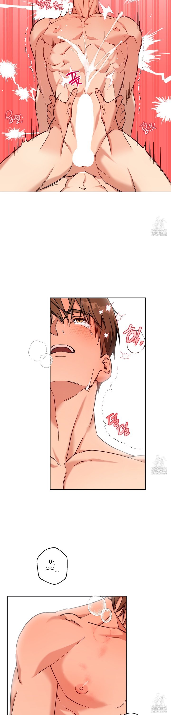 1739231890384xf3alk0cwd.jpg