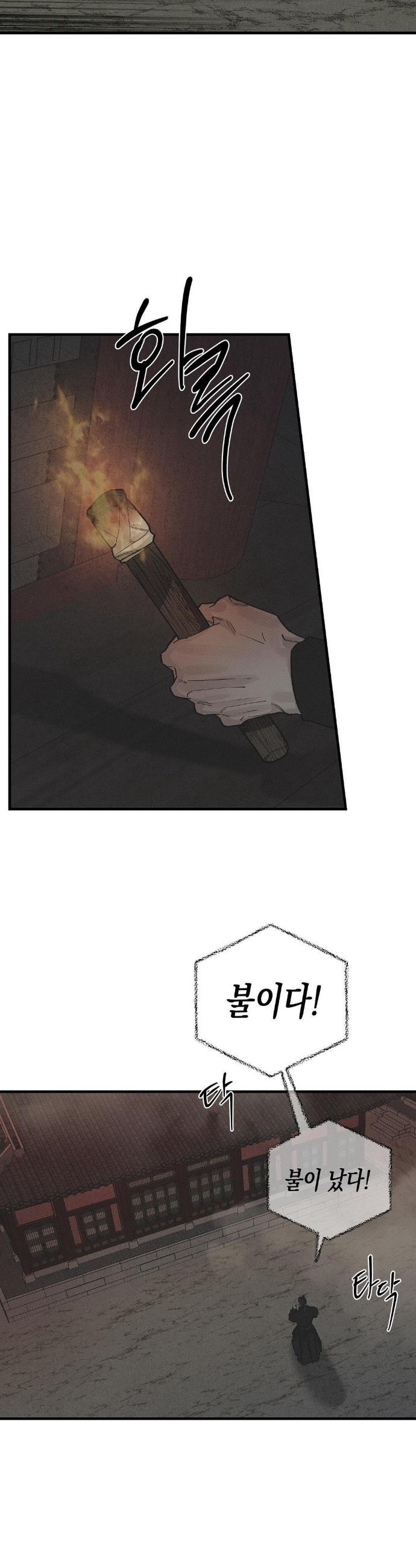 1739313526216grnwdoto8o.jpg