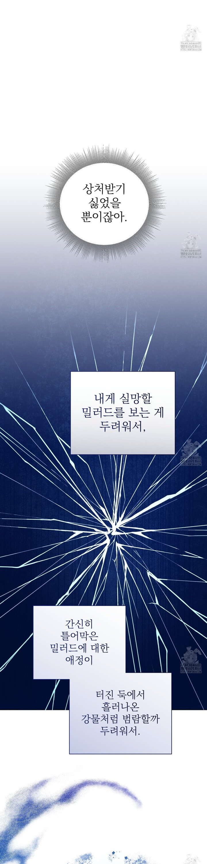 1739412035318ipawma91dv.jpg