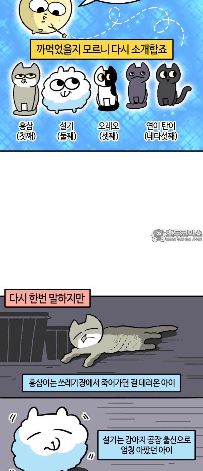 1739490471074eck253rbycq.jpg