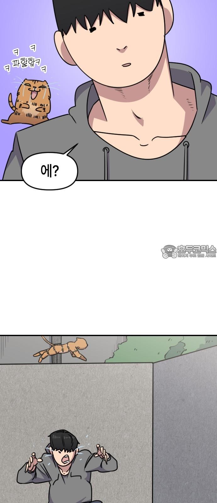17394929032295ogg6fy059.jpg