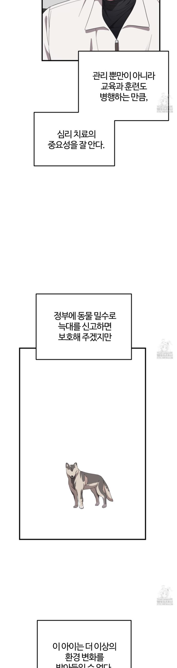 17394933955303yw2l6usokj.jpg