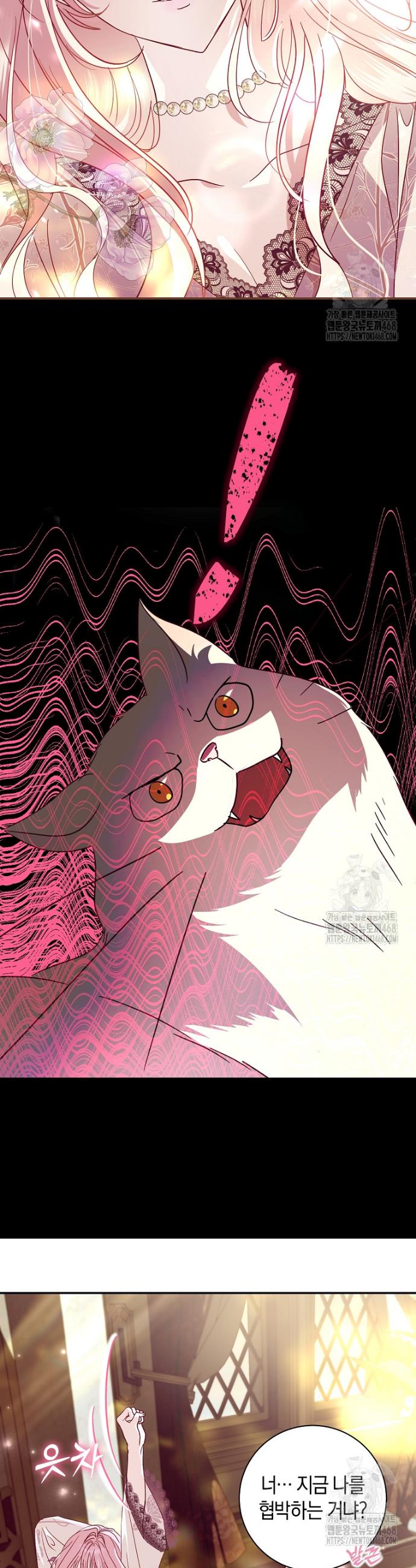 1739493737033wl9uuu6rcmh.jpg
