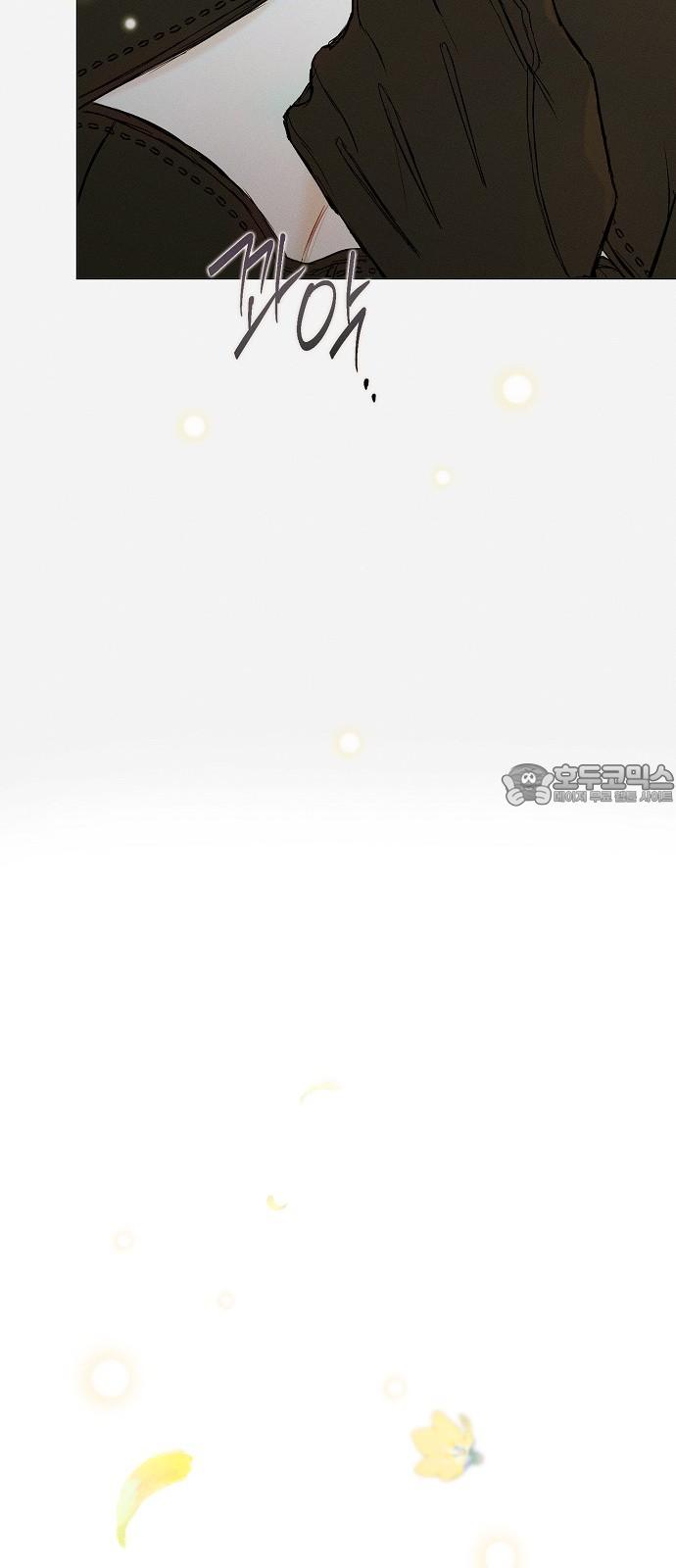 17395715360079oelslr3yfv.jpg