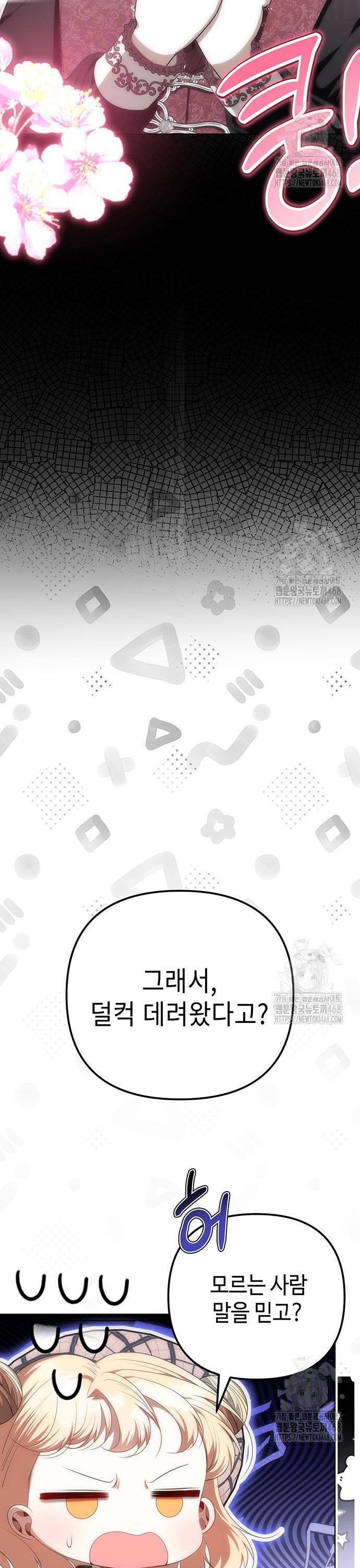 1739922869346787439o749w.jpg