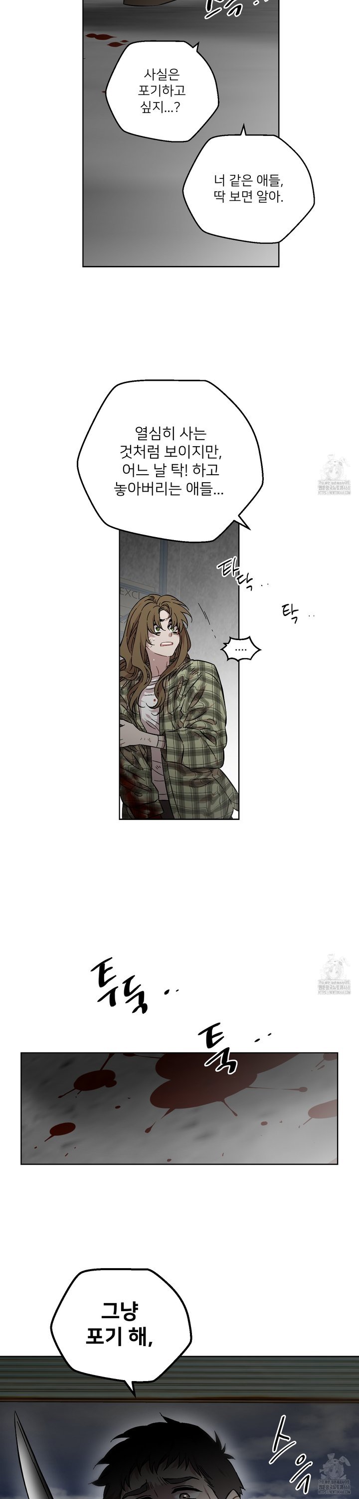 1740091616999edgwturgwo.jpg