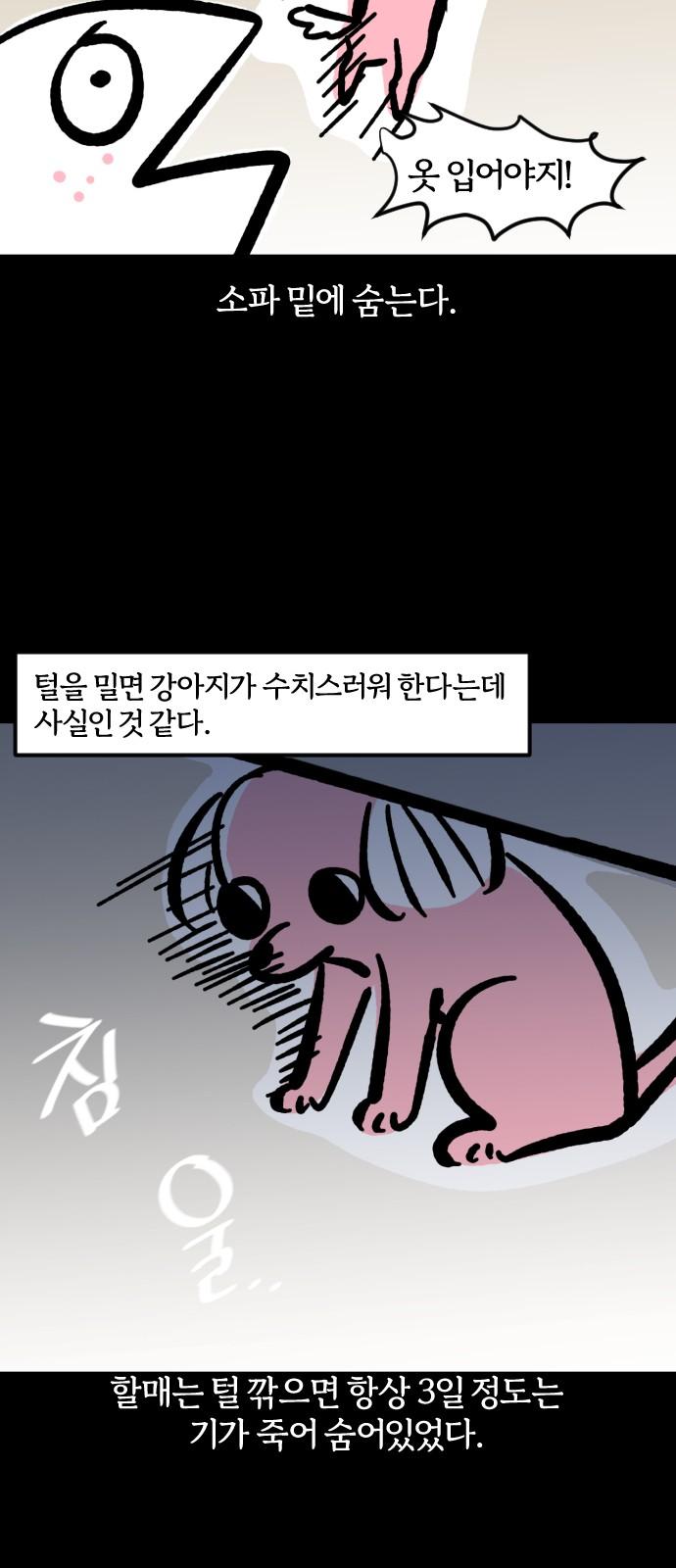 1740092358639dvqdglxosl8.jpg