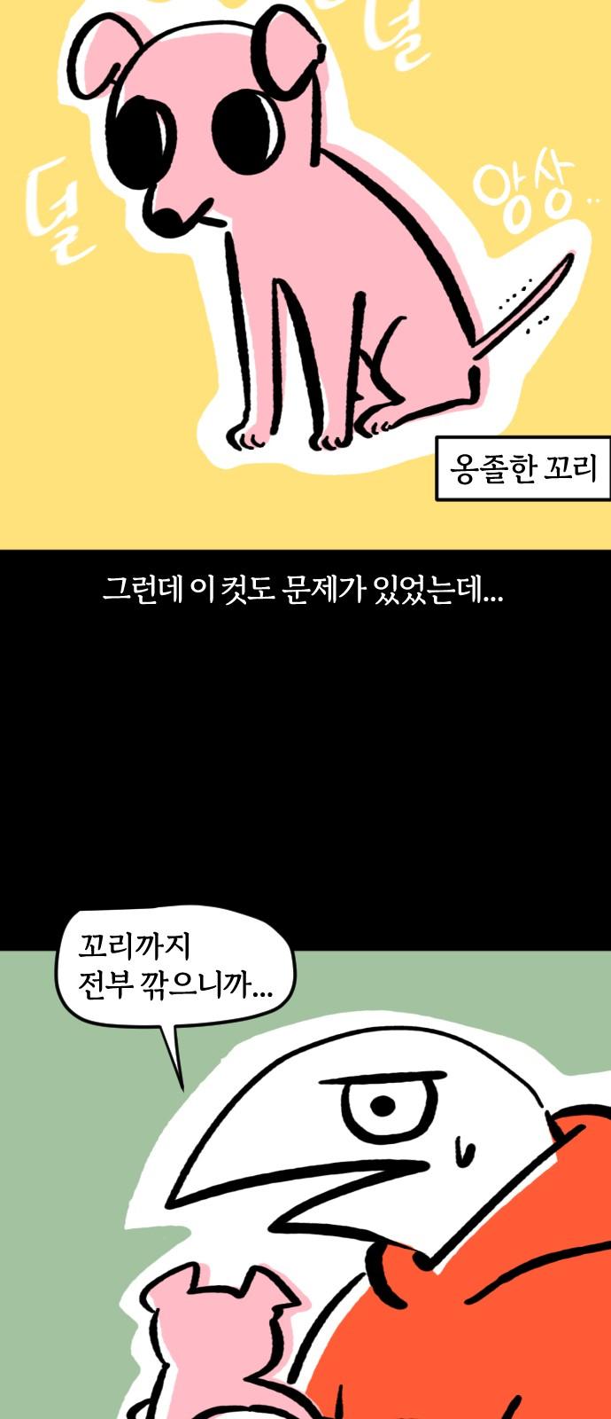 1740092359568sqht8nt4jb.jpg