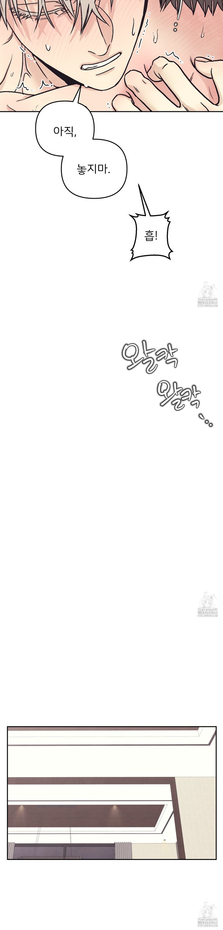 1740129371504vzdiyl4lwoe.jpg